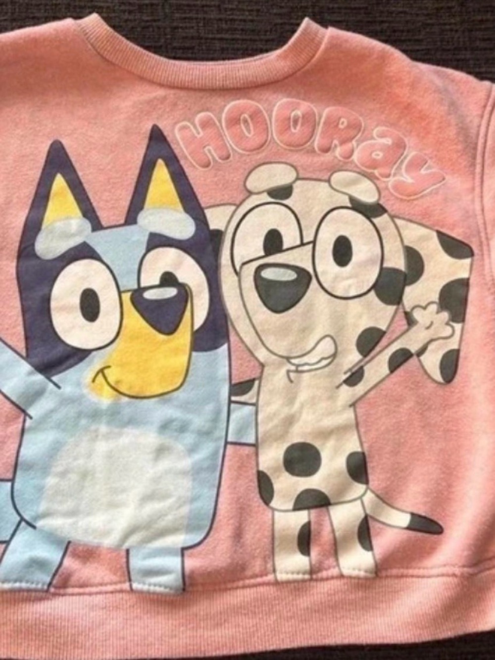 Kids' Pink 'Hooray' Graphic Sweatshirt with Bluey-Style Characters